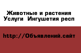 Животные и растения Услуги. Ингушетия респ.